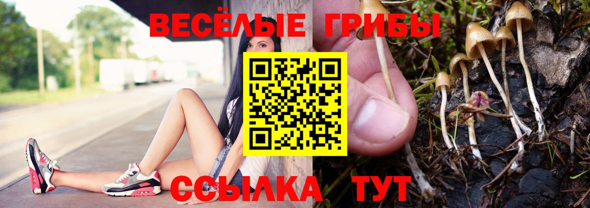 Гусев  Галлюциногенные грибы Psilocybine cubensis  Вход с VPN  Псилоцибиновые грибы Psilocybine cubensis 