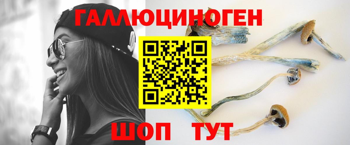 Псилоцибиновые грибы Cubensis Гусев