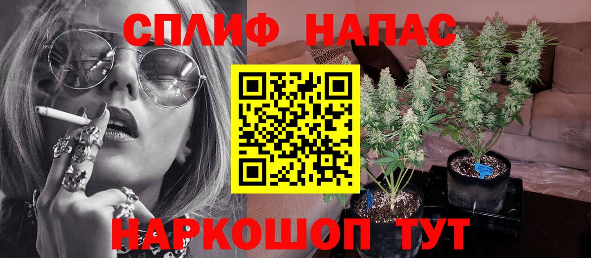МАРИХУАНА ГИДРОПОН  Каннабис OG Kush  Бошки Шишки OG Kush  Вход с VPN  Гусев  Шишки марихуана план 